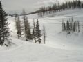 IMG-0438.jpg