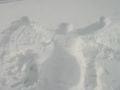 IMG-0528.jpg