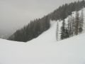 IMG-0655.jpg