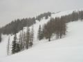 IMG-0656.jpg