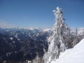 P1100841.JPG