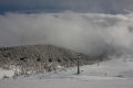 IMG-8338k.JPG