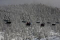 IMG-8342k.JPG