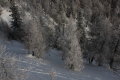 IMG-8372k.JPG