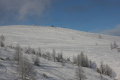 IMG-8377k.JPG