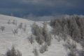 IMG-8393k.JPG