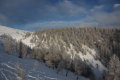 IMG-8416k.JPG