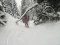 aflenz-fa-IMG-0085.jpg