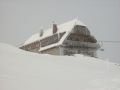 aflenz-fa-IMG-0113.jpg
