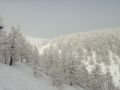 aflenz-fa-IMG-0123.jpg