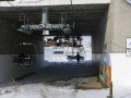 ALPAURIS FELVON�
