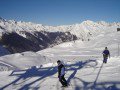 ALPETTE FELVON�