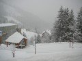 ALPE D