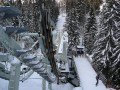 ALPAURIS FELVON�