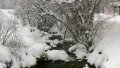 IMG-5014.JPG