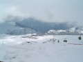 SUC30273.JPG