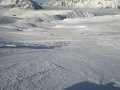 Chamois.jpg