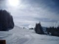 K�k p�lya Altenmarktban.