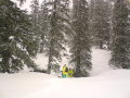 Angertal-Sportgastein, Freeride
