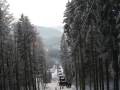IMG-9013.JPG