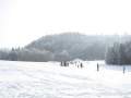 IMG-9016.JPG