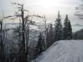 IMG-9028.JPG