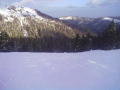 Aranyida 2013.02.15.