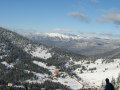IMG-1049.JPG