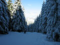 IMG-1079.JPG