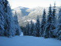 IMG-1091.JPG