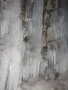 IMG-1105.JPG