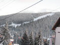 IMG-6280.JPG