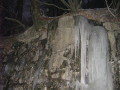 IMG-6310.JPG