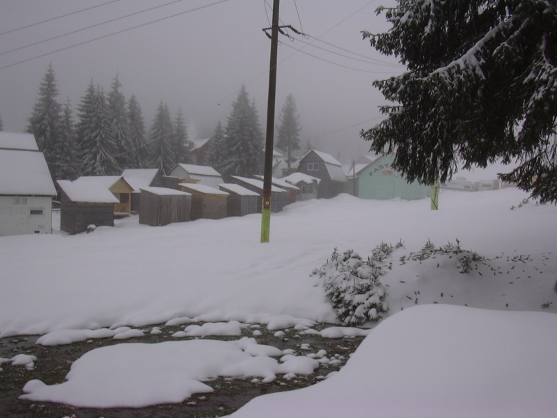 DSCN0016.JPG