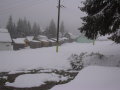DSCN0016.JPG