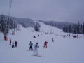 P3140004.jpg