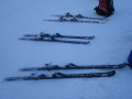 DSC09795.JPG