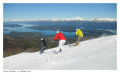 A d�li r�szek a hegyek �s tavak otthona - Fot�: Turismo de Neuqu�n