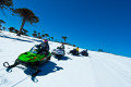 H�sz�noz�s az arauk�ria feny�k k�zt - Fot�: Turismo de Neuqu�n