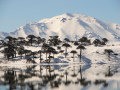 Fot�: Turismo de Neuqu�n