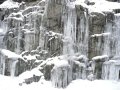 P1050589-2.JPG