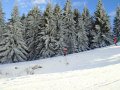 DSC01749.JPG