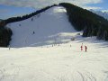DSC01750.JPG