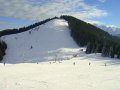 DSC01754.JPG