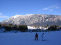 IMG-0018.JPG