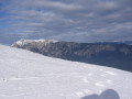 IMG-0060.JPG