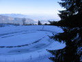 IMG-0099.JPG