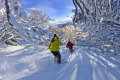 Ez is Ausztr�lia ! - Fot�: Mt Buller - Mark Ashkanasy