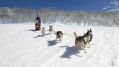 Fot�: Hotham Alpine Resort