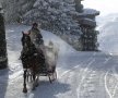 Horse-drawn-vehicles.jpg